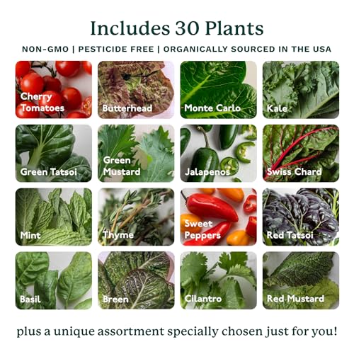 Gardyn 4.0 Hydroponics Growing System Kit & Vertical Garden Planter, 30 Non-GMO Indoor Plants Smart Garden, Herbs, Vegetables & LED Grow Lights for Indoor Gardening System