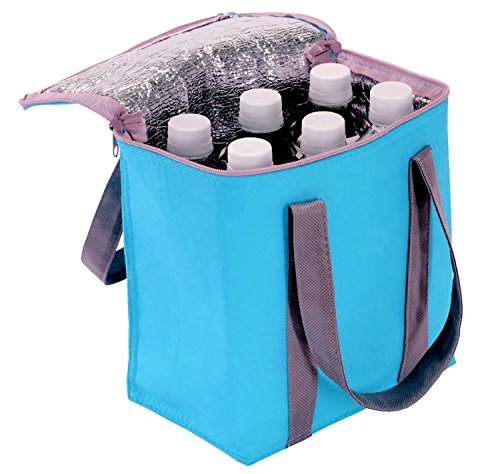 マチ付きクーラーバッグ ペットボトル6本用