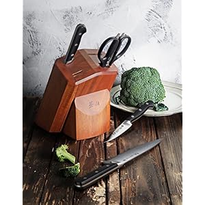 Cangshan V2 Series 1022520 German Steel Forged 5-Piece Starter Knife Block Set, Acacia Cangshan V2 Series 1022520 German Steel Forged 5 Piece Starter Knife Block Set Acacia