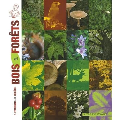 Bois & For&ecirc;ts