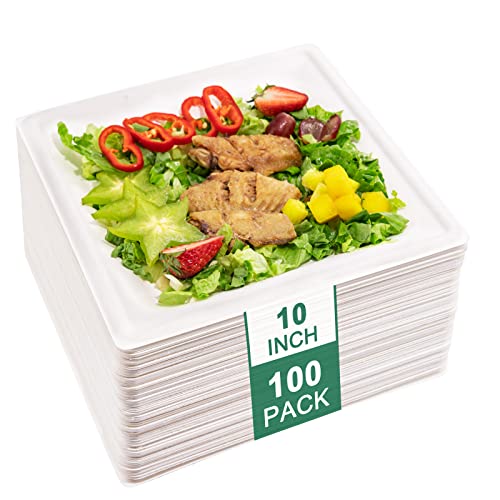 SUT 10-Inch Compostable Paper Plates, 100 PCS Square Biodegradable Bagasse Plates, Heavy-Duty Microwaveable Plates, Eco-Friendly Natural Disposable Plates, Made of Sugarcane Fibers, for Party, Picnic