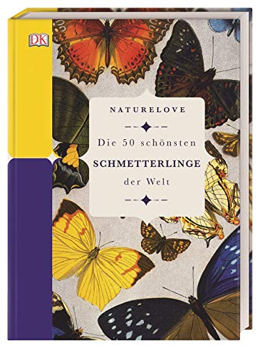 Schnsten Schmetterlinge Der Welt
