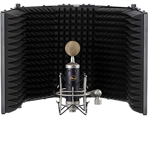 Blue Baby Bottle Sl Studio Condenser Microphone With Rf-5P-B Reflection Filter, Tripod Mic Stand, Pop Filter & Xlr Cable Bundle #TOP4