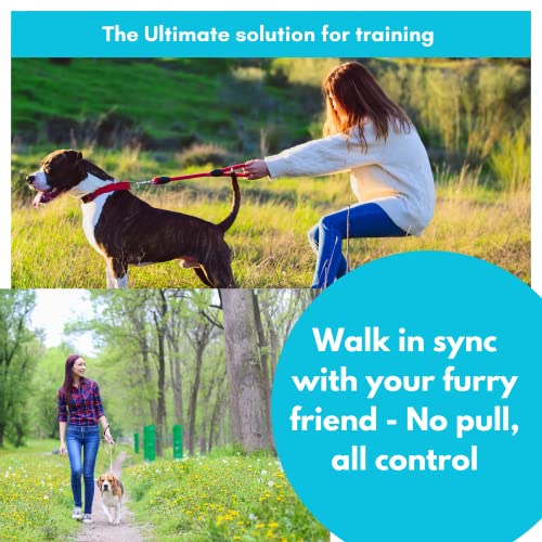 Reflective Adjustable Dog Head Collar & No Pull Leash, Gentle Padded Headcollar & Harness Halter For Training Medium Dogs, Bright Blue #TOP1