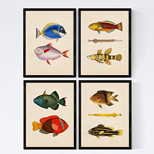 Poisson coloré affiche vintage pour remplacer un poster fade sans relief