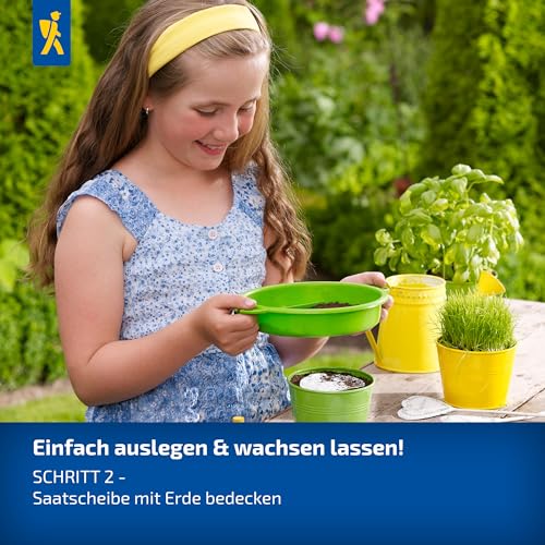 Kiepenkerl Katzengrassamen Frischgrün Mischung 1073350 - - frisches Grün - schnell und einfach - niedriger Wuchs - Gräser, Pflanzensamen, Saatscheibe