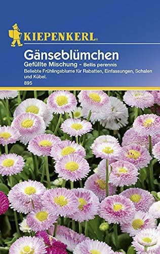 Kiepenkerl 895 Gänseblümchen Gefüllte Mischung (Gänseblümchensamen)