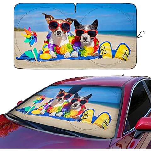 Car Sun Shade for Windshield Cute, Car Front Window Sunshades Foldable Cartoon Cool Sun Visor Shield Car Sunshade Cover Baby for Most Sedans SUV Truck Pickup Protect Your Vehicle from UV Heat Cover