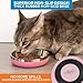 Master Pet Supply Stainless Steel Cat Bowls - 9 oz Heavy Duty - Rose Quartz, Double Wall Extra-Thick Insulated, Non-Slip Pet Water Bowl for Cats & Pets, Anti Rust Metal, Dishwasher Safe