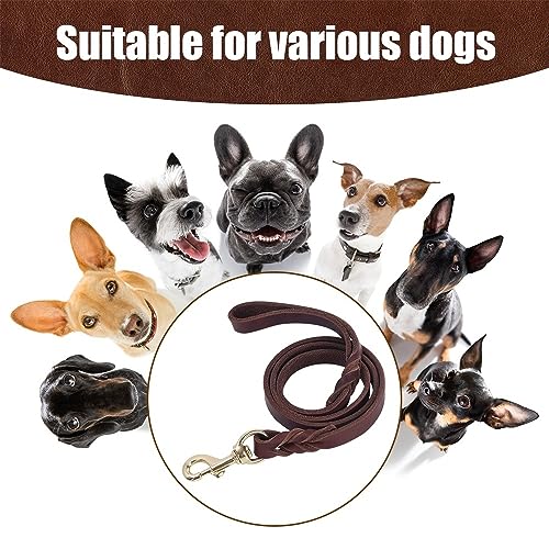 Hundeleine Leder, 1,2m - 2,6m Fettlederleine Hunde, 1,2/1,8 cm Breit, Lederleine Hund Führleine mit robustem Verschluss für große, mittelgroße und kleine Hunde
