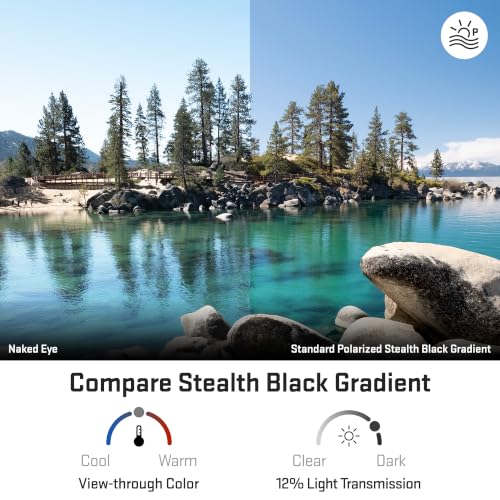 Image of Revant Replacement Lenses for Ray-Ban 64mm RB3379