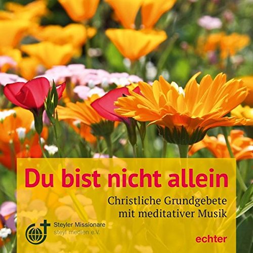 Du bist nicht allein: Christliche Grundgebete mit meditativer Musik Du bist nicht allein: Christliche Grundgebete mit meditativer Musik