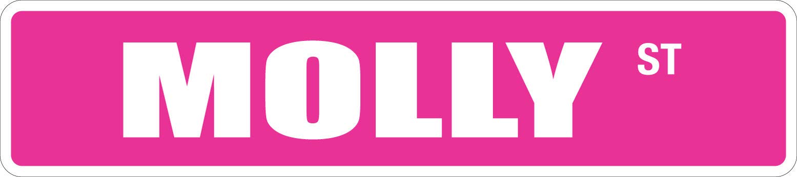 metal sign Molly 4" x 16" Metal Novelty Street Sign