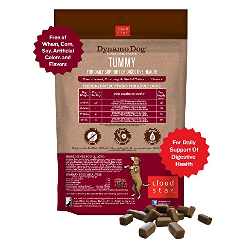 Cloud Star Dynamo Dog Tummy Treats – Soft & Chewy Probiotics Support for Dogs (14 oz. Pumpkin and Ginger)