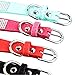 HALFSUMO Strass Hundehalsband Weicher Samt Leder Halsband Hundeleine Combo Set Niedliche Luxus Diamantbesetzt Bling Verstellbares Welpenhalsband für Kleine Mittelgroße Hunde Katzen Rosa XS