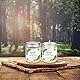 Citronella Kerze Outdoor im Glas, 2 Stücke Outdoor Kerzen Groß, Natürliche Sojawachs Zitronella Kerze draußen für Garten, Camping, Indoor, Terrasse, Picknicks, Sommergeschenk