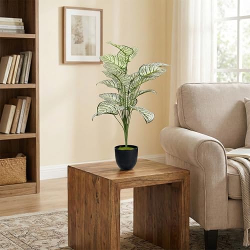 Image of Dekorly Artificial Palm Tree - Large Fake Tropical Floor Plant, Realistic Plastic Greenery for Indoor Home, Office, Living Room & Corner Decor (Dieffenbachia White)