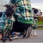 Spark Paws Dog Hoodie – Premium Dog Sweater for Small, Medium, and Large Dogs | Warm Outfits for French Bulldogs, Pitbull, Puppy, Winter Jacket Alternative - Green Plaid - L - Image 5