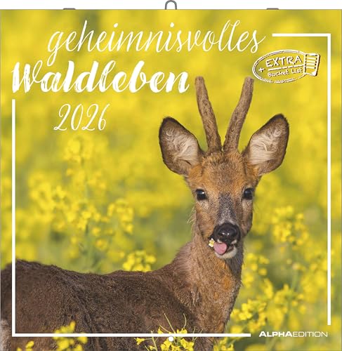 Alpha Edition - Geheimnisvolles Waldleben Kalender 2026 – Wandkalender 30x30 cm – Für Naturliebhaber – 12 beeindruckende Waldtier-Fotografien, viel ... Feiertagen & Ferienterminen: Forest Animals