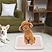 ＡＷＨＡＯ Dog Potty Toilet Training Tray Mesh Potty Training Tray Puppy Pee Pad Holder Potty Trainer for Puppies, Pink
