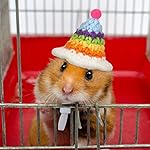 4 pieces hamster hat mini small animals hat with adjustable strap lovely hand knitted frog rainbow carrot tiny hats for lizard guinea pig reptile christmas holiday party clothes costume accessories 10 51rsyxd11+l. Sl500. Ss150
