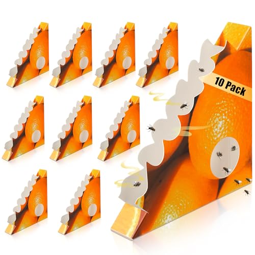 Qualirey 10pbN ptCgbv pEBhEtCgbv S R[i[tCOgbv  Lb` ItBXp p