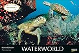  Waterworld 2024: Großer Foto-Wandkalender mit unterwasser-Bildern von Fischen. Edler schwarzer Hintergrund. PhotoArt Panorama Querformat: 58x39 cm.