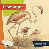 Flamingos (Living Wild)
