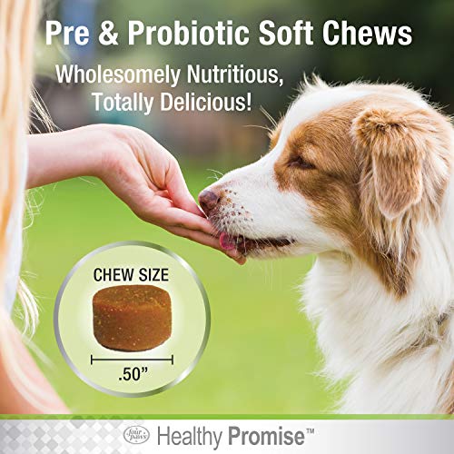 Image of Four Paws Healthy Promise Pre & Probiotics for Dogs, 90 Count