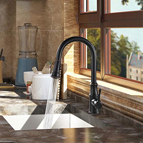 Aguastella As94Orb Oil Rubbed Bronze Kitchen Sink Faucet With Pull Down Sprayer Single Handle High Arc #TOP4