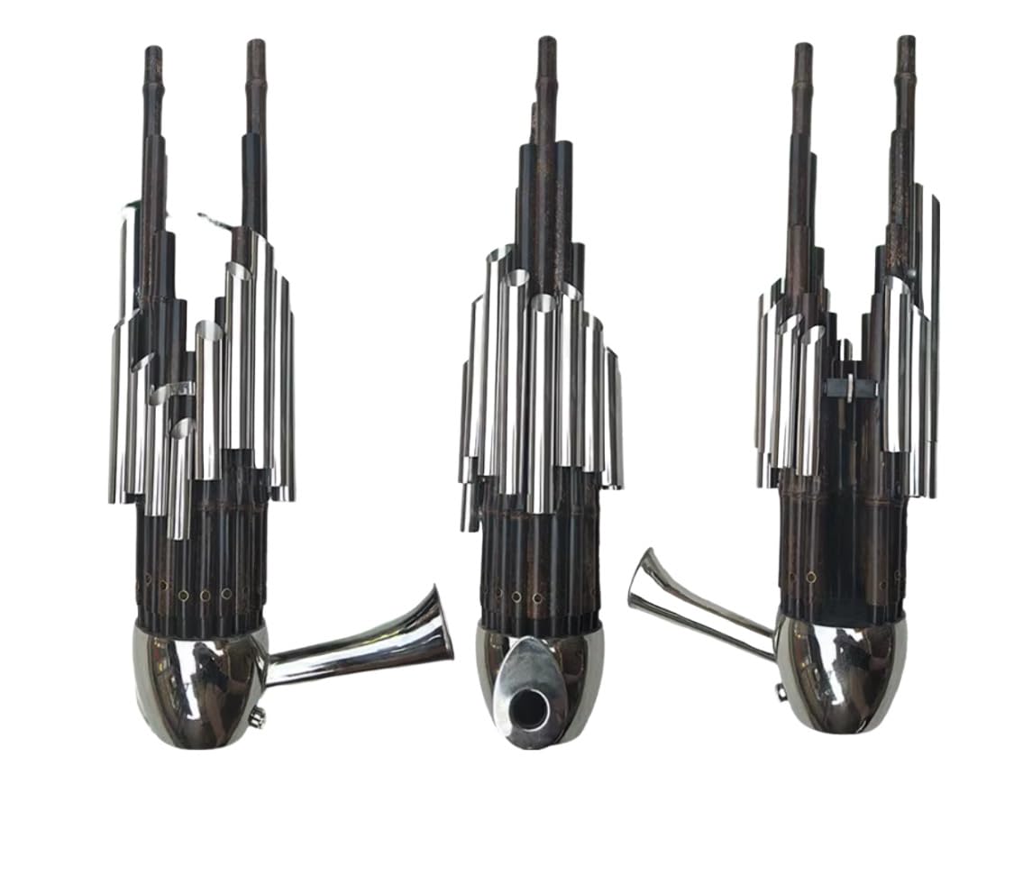 Sheng 17 anches avec tube amplificateur instrument à vent chinois