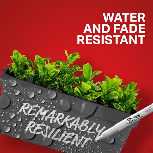 sharpie metallic permanent markers fine point silver 2 count