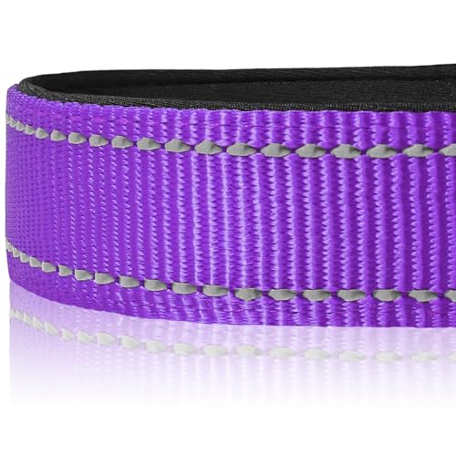 image for Joytale Reflective Dog Collar,Soft Neoprene Padded Breathable Nylon Pe