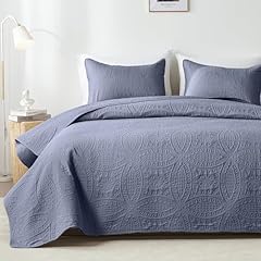 Coin Pattern Bluish Grey