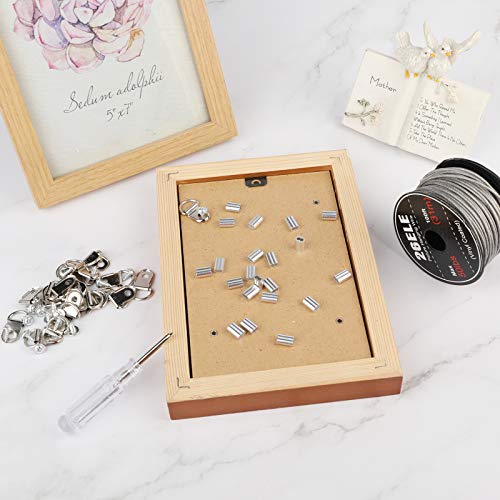 26Ele Picture Hanging Kit, Including Picture Hanging Wire(100 Feet) Supports Up To 50Lbs, D Ring Picture Hangers And Screws(20Pcs Each), 20Pcs Aluminum Crimping Sleeves And 1 Screwdriver #TOP3