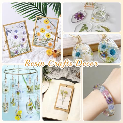 Flores prensadas secas para manualidades 5 hojas miniatura 5