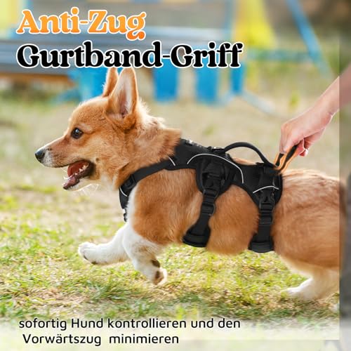 rabbitgoo Ausbruchsicheres Hundegeschirr Kleine Hunde mit Griff, Anti Zug Sicherheitsgeschirr Hund Atmungsaktiv, Verstellbare Brustgeschirr, Gepolstertem Hundeweste, Panikgeschirr, Schwarz S