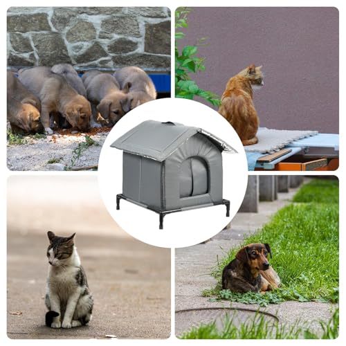 �L�̌��� |�n��̐l�����ꂽ���O�V�F���^�[ |��A�K���[�W�A�����p�̑ό󐫏����A��ǔL��y�b�g�̂��߂̒g�������S�Ȕ�