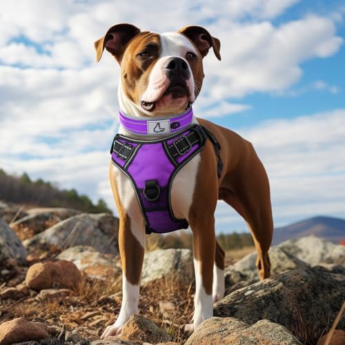 Joytale Reflective Dog Collar Extra Large Dogs, Purple, X-Large (58cm-68cm) - Image 3