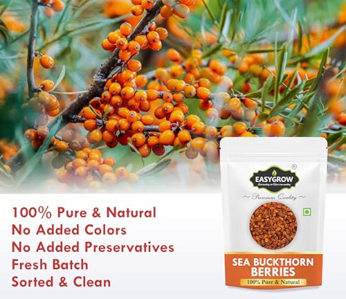 Image of Easygrow Himalayan Sea Buckthorn Berry - 50 gm, Natural Seabuckthorn Berry From Ladakh For Skin, Rich in Collagen, Fatty Acids, Vitamins & Phytonutrients Dried Sea Buckthorn Berries