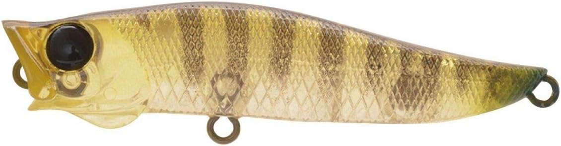 Jackson Popper R.A. Pop, 2.8 inches (70 mm), 0.2 oz (7 g), Lure