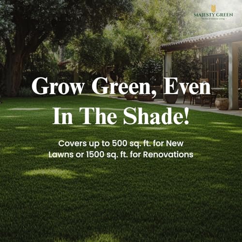 Grass Seed Blend For Shady Lawns Low Sunlight