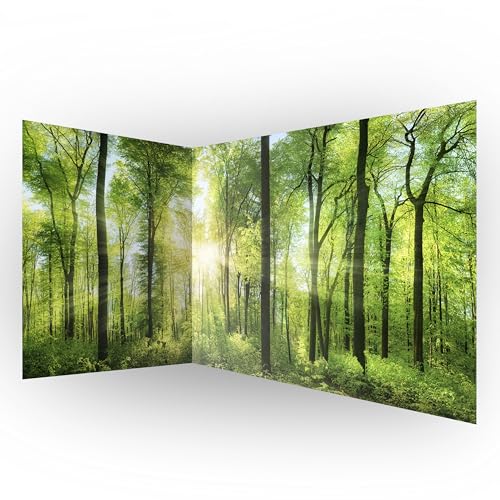 murando Eckfototapete Wald 550x250 cm Vlies Tapeten Wandtapete XXL Moderne Wanddeko Design Wand Dekoration Wohnzimmer Schlafzimmer Büro Flur Landschaft Natur grün Baum c-A-0058-a-b