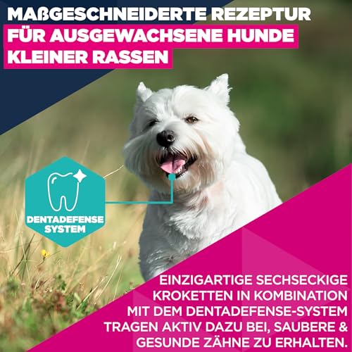 Eukanuba Hundefutter Trocken mit frischem Huhn für kleine Rassen, Premium Trockenfutter für ausgewachsene Hunde, 15 kg
