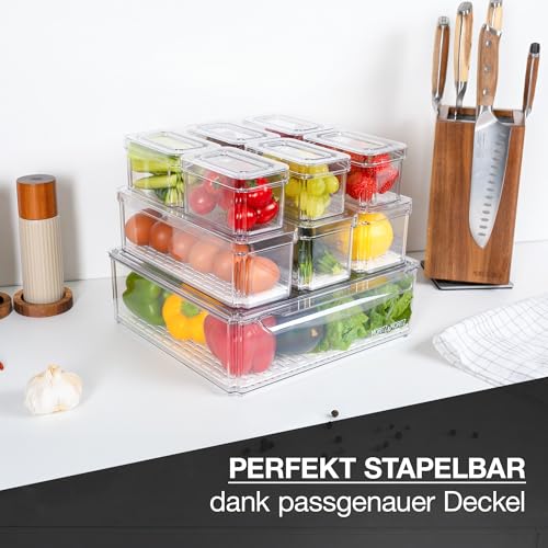 Moritz & Moritz 10er Pack Kühlschrank Organizer Set mit Deckel - Kühlschrank Boxen Stapelbar - Kühlschrankboxen Transparent - Robust - Aufbewahrungsboxen für Küche Vorratsschrank Schublade