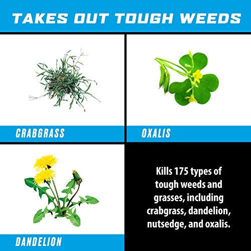 Ortho Groundclear Super Weed And Grass Killer1: Eliminates Tough Weeds And Grass, Ready-To-Use, Fast-Acting, 1 Gal. #TOP7