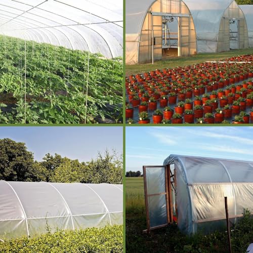 10ft x 26ft 6mil Clear Greenhouse Plastic Sheeting Green House Sheet UV Resistant Polyethylene Film Hoop Cover for Horticulture Gardening Farming and Agriculture Farming by Huixinglin - Image 4