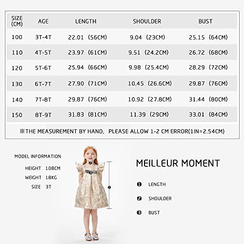 Meilleur Moment Girls Kids Summer Floral Dress Ruffle Sleeve A-Line Golden Jacquard Midi Dress For Girls Daily Party #TOP5