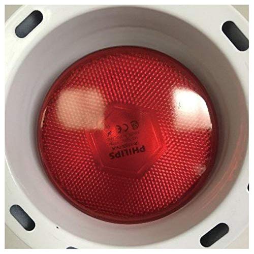 Amazon.co.jp : フィフティ・ヴィジョナリー リニューアル モダン