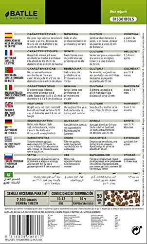 Semillas Batlle Betterave Table écrasée Égypte – vue 2